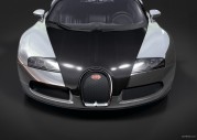 Bugatti Veyron Pur Sang Bugatti Veyron Pur Sang